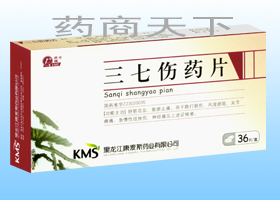 ������ҩƬ����|˵����