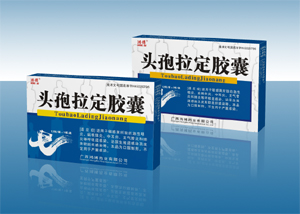 ͷ����������