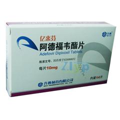 ���¸�Τ��Ƭ����|˵����