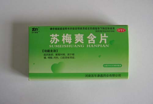 ��÷ˬ��Ƭ����|˵����