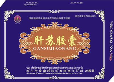 ���ս��� ����|˵����