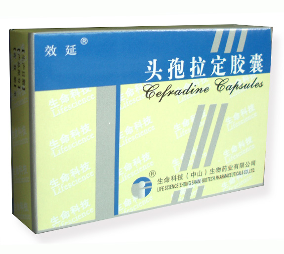 ͷ����������