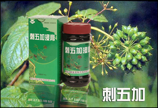 ����ӽ���