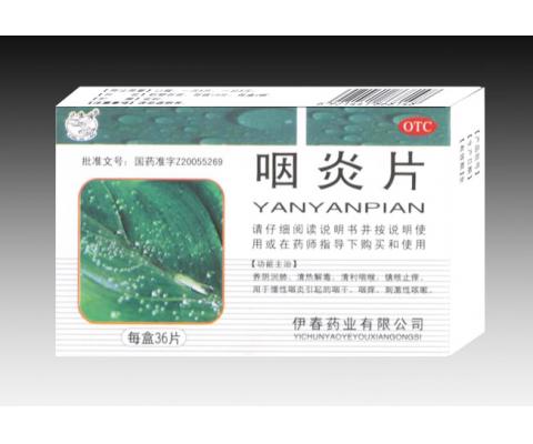 ����Ƭ����|˵����