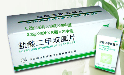 �������˫��Ƭ