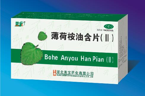 �������ͺ�Ƭ����|˵����