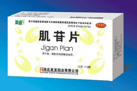 ����Ƭ����|˵����