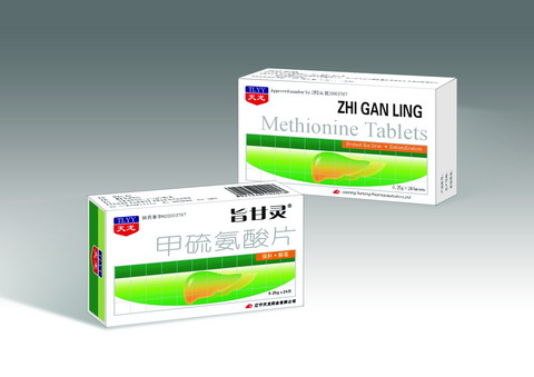 ������Ƭ