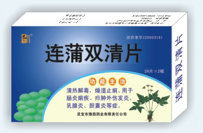 ����˫��Ƭ