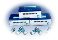 ע���ôٸ�ϸ��������