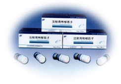 ע����ת����������|˵����