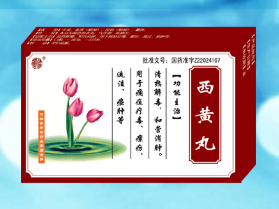 ����������|˵����