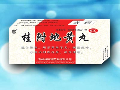 �𸽵ػ�������|˵����