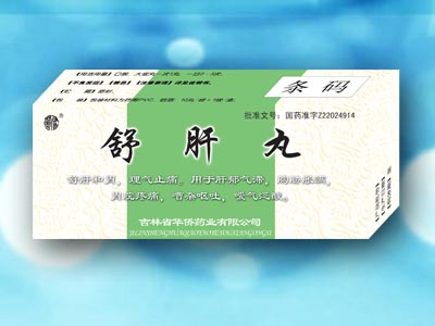 ���������|˵����