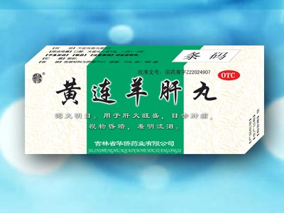 �������������|˵����