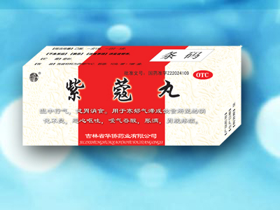 ��ޢ������|˵����