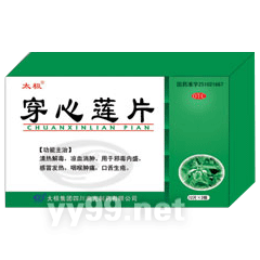 ������Ƭ