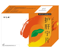 ������Ƭ����|˵����