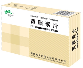 ������Ƭ