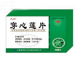 ������Ƭ����|˵����