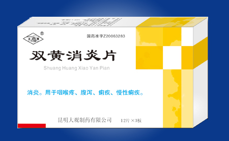 ˫������Ƭ