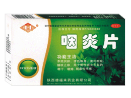 ����Ƭ����|˵����