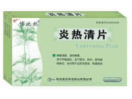 ������Ƭ