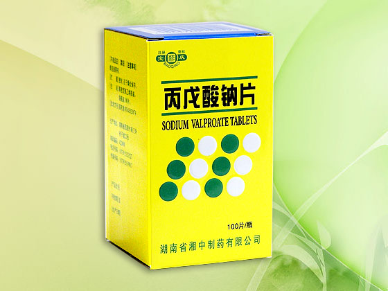 ��������Ƭ