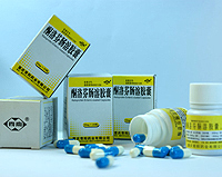 ͪ��ҳ��ܽ���