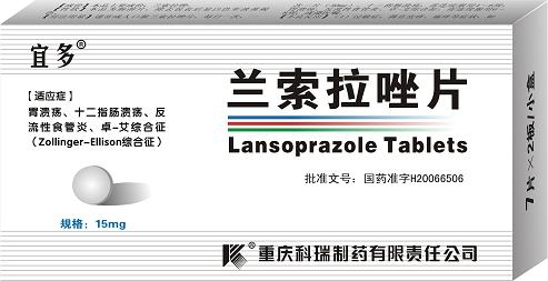 ��������Ƭ