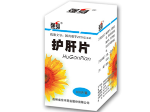 ����Ƭ����|˵����