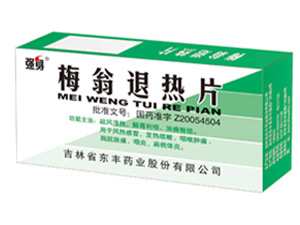 ÷������Ƭ����|˵����