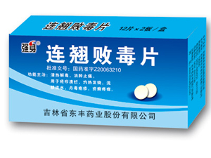 ���̰ܶ�Ƭ����|˵����