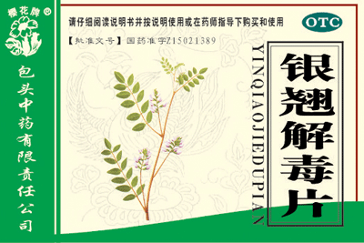 ���̽ⶾƬ����|˵����