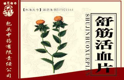 ����ѪƬ��ƿװ������|˵����