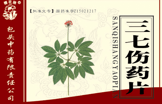 ������ҩƬ��ƿװ������|˵����