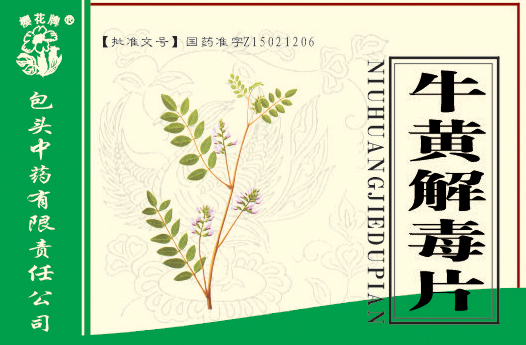 ţ�ƽⶾƬ����װ������|˵����