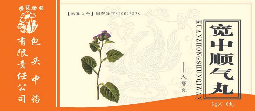 ����˳��������|˵����