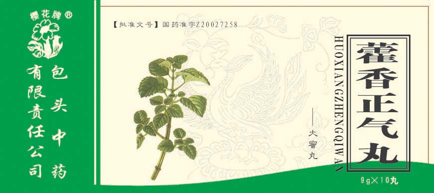 ޽������������|˵����