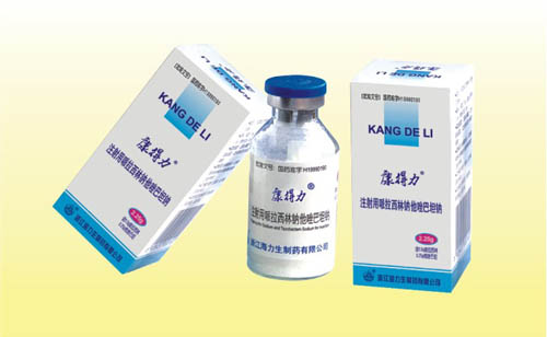 ע���������̹��