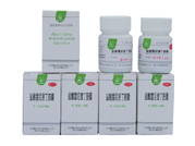 ���������涡��������|˵����