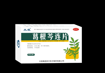 �������Ƭ����|˵����