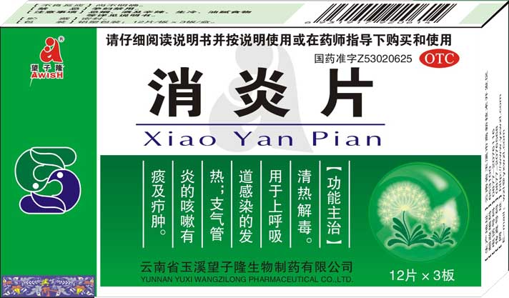 ����Ƭ����|˵����