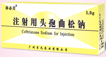 ע����ͷ��������