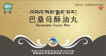 ��ɣĸ����������|˵����