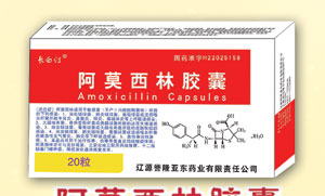 ��Ī���ֽ���(��.������g)��