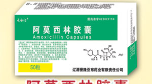 ��Ī���ֽ���(��.������g)