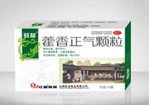 ޽��������������|˵����