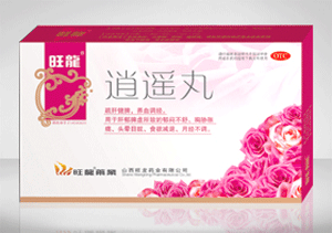 ��ң������|˵����