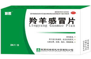 �����ðƬ����|˵����